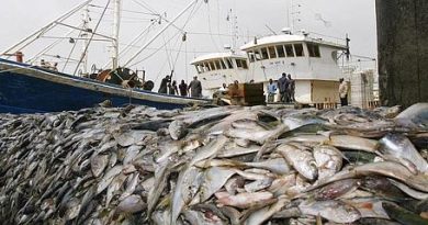 Assemblée : Le budget des Pêches et de l’Economie maritime fixé à 45 milliards