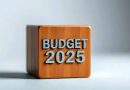 Salaires, dette, investissement : Les grandes lignes du budget 2025