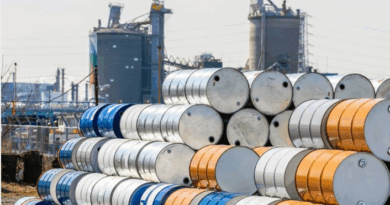 Pétrole : Sangomar explose ses objectifs avec 16,9 millions de barils en 2024, vise 30,53 millions en 2025