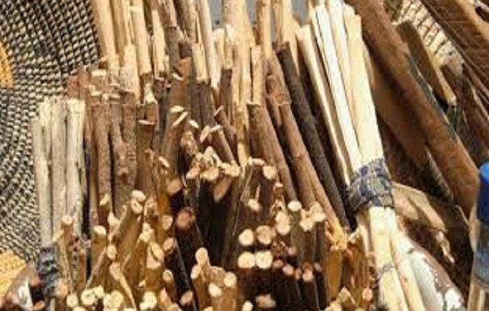 LA BROSSE AFRICAINE, UN PATRIMOINE IMMATERIEL: « Sothiou », le petit bâton qui raconte une grande histoire