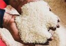 Le gouvernement subventionne le riz local à raison de 50 francs CFA le kilo