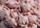 Approvisionnement du marché en poulets locaux: l’Interprofession avicole rassure les consommateurs