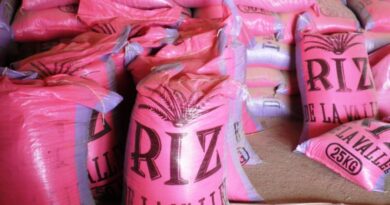 SUBVENTION DE L’ÉTAT SUR LE RIZ LOCAL: Les producteurs saluent la mesure, mais réclament un frein aux importations