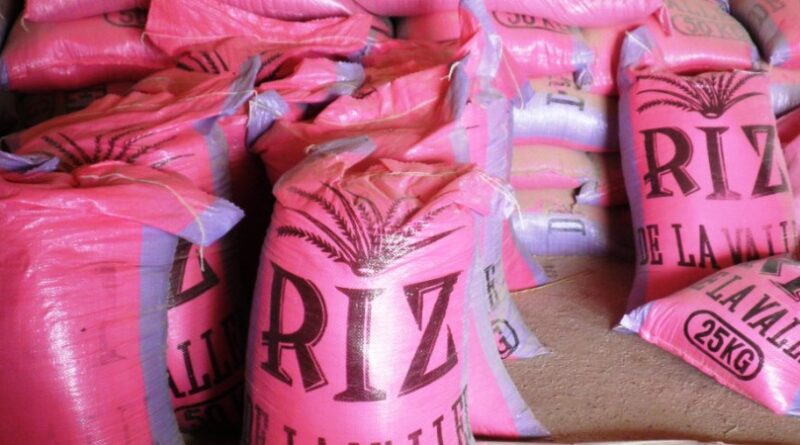 SUBVENTION DE L’ÉTAT SUR LE RIZ LOCAL: Les producteurs saluent la mesure, mais réclament un frein aux importations