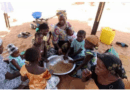 PRISE EN CHARGE DE LA NUTRITION: La sous-nutrition coûte plus de 478 milliards au Sénégal