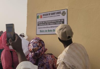 TOURNÉE ÉCONOMIQUE À BOKÉ DIALLOUBÉ: Abdoulaye Daouda Diallo multiplie inaugurations et lancements de projets