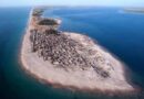 ÎLE DE SANGOMAR: L’île vierge et sacrée, sanctuaire du génie protecteur des Sérères