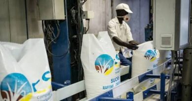Richard-Toll : la CSS annonce un stock de 80 000 tonnes de sucre pour stabiliser le marché