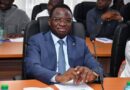 Tabaski 2026 : Le marché bien approvisionné, selon Serigne Guèye Diop Tabaski 2026 : Le marché bien approvisionné, selon Serigne Guèye Diop