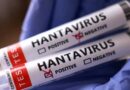 Hantavirus : Une Française rapatriée du MV Hondius testée positive, 22 cas contacts