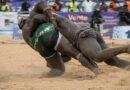 LUTTE-Reug Reug frappe fort : Boy Niang 2 balayé, la hiérarchie des VIP relancée LUTTE-Reug Reug frappe fort : Boy Niang 2 balayé, la hiérarchie des VIP relancée