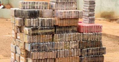 Trafic international de drogue : les Douanes saisissent près d’une tonne de cocaïne à Koumpentoum Trafic international de drogue : les Douanes saisissent près d’une tonne de cocaïne à Koumpentoum