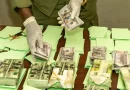 Mbour : un réseau de faux monnayeurs démantelé, plus de 752 millions de FCFA saisis Mbour : un réseau de faux monnayeurs démantelé, plus de 752 millions de FCFA saisis
