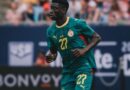 MONDIAL 2026 : BARA SAPOKO NDIAYE, MILIEU DES LIONS: « Je pense que je vais davantage apprendre qu’apporter quelque chose »
