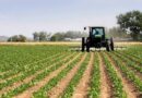 Campagne agricole : un budget de 130 milliards de francs CFA, dont 69 milliards pour l’achat d’engrais