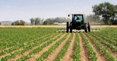 Campagne agricole : un budget de 130 milliards de francs CFA, dont 69 milliards pour l’achat d’engrais