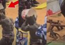 CHATONS UTILISES LORS DU COMBAT REUG REUG–BOY NIANG 2: La Direction des Parcs nationaux condamne et appelle à des sanctions CHATONS UTILISES LORS DU COMBAT REUG REUG–BOY NIANG 2: La Direction des Parcs nationaux condamne et appelle à des sanctions