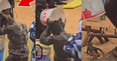 CHATONS UTILISES LORS DU COMBAT REUG REUG–BOY NIANG 2: La Direction des Parcs nationaux condamne et appelle à des sanctions CHATONS UTILISES LORS DU COMBAT REUG REUG–BOY NIANG 2: La Direction des Parcs nationaux condamne et appelle à des sanctions