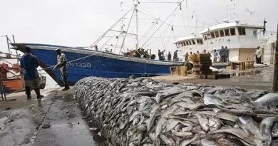 Pêche : plus de 100 licences délivrées en 2026