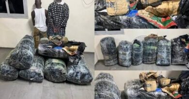 Thiaroye : plus de 300 kilos de chanvre indien saisis, deux suspects arrêtés (gendarmerie)