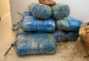 Guéréo : 244,8 kg de chanvre indien saisis