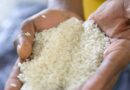 Aflatoxines dans le riz : le ministère du Commerce dément une contamination généralisée