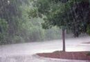 Météo : l’Anacim annonce une pause pluviométrique sur une grande partie du Sénégal du 4 au 10 juillet 2026 Météo : l’Anacim annonce une pause pluviométrique sur une grande partie du Sénégal du 4 au 10 juillet 2026
