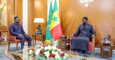 JAMIL FAYE ET THIONE NIANG: Haro sur les Cv-Selfies de la Présidence de la République…Par MLDIATTA
