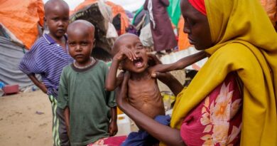 La Somalie, théâtre d&rsquo;une nouvelle crise humanitaire en raison de la sécheresse