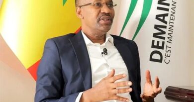 ÉNERGIE ET DÉCLARATION DE PATRIMOINE : TRANSPARENCE OU NÉBULEUSE ? ( Mamoudou Ibra Kane)
