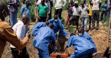 Ebola en RDC: la propagation du virus aurait débuté dès le mois de janvier, selon une étude