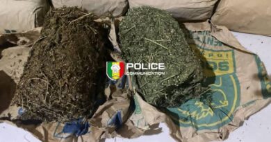 Trafic de stupéfiants à Bignona: la Police saisit 20 kg de chanvre indien au quartier Tp