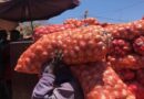 Sénégal : Levée de la mesure de gel des importations d’oignons