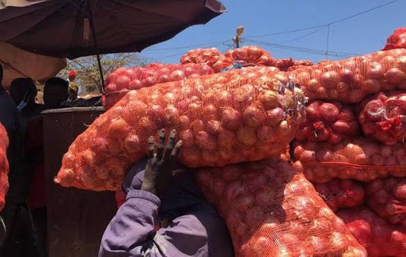 Sénégal : Levée de la mesure de gel des importations d’oignons