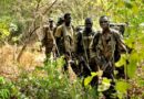 CONFLIT EN CASAMANCE: Différents acteurs croient en une possible sortie de crise