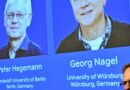 Le prix Nobel de médecine est décerné à Karl Deisseroth, Peter Hegemann et Georg Nagel