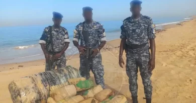 Lutte contre le trafic de stupéfiants : plus de 200 kg de chanvre indien saisis à Nianing