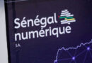 Sénégal Numérique SA : Trois hauts cadres licenciés après un audit