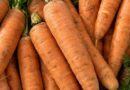 Carottes : le Sénégal lève le gel des importations face à la flambée des prix