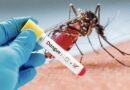 Epidémie de dengue : Trois (03) cas enregistrés à Kédougou