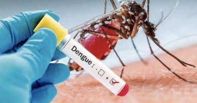 Epidémie de dengue : Trois (03) cas enregistrés à Kédougou