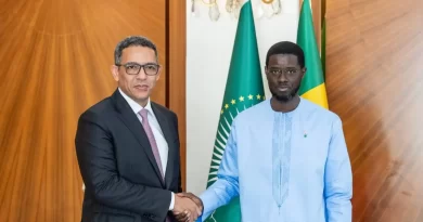 Politique de souveraineté énergétique : le ministre de l’Énergie et du Pétrole de la Mauritanie reçu au Palais